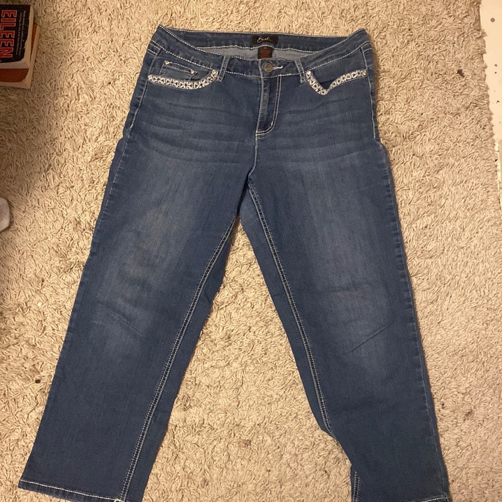 Earl Jeans size 14 womens - 16in waist 24in inseam